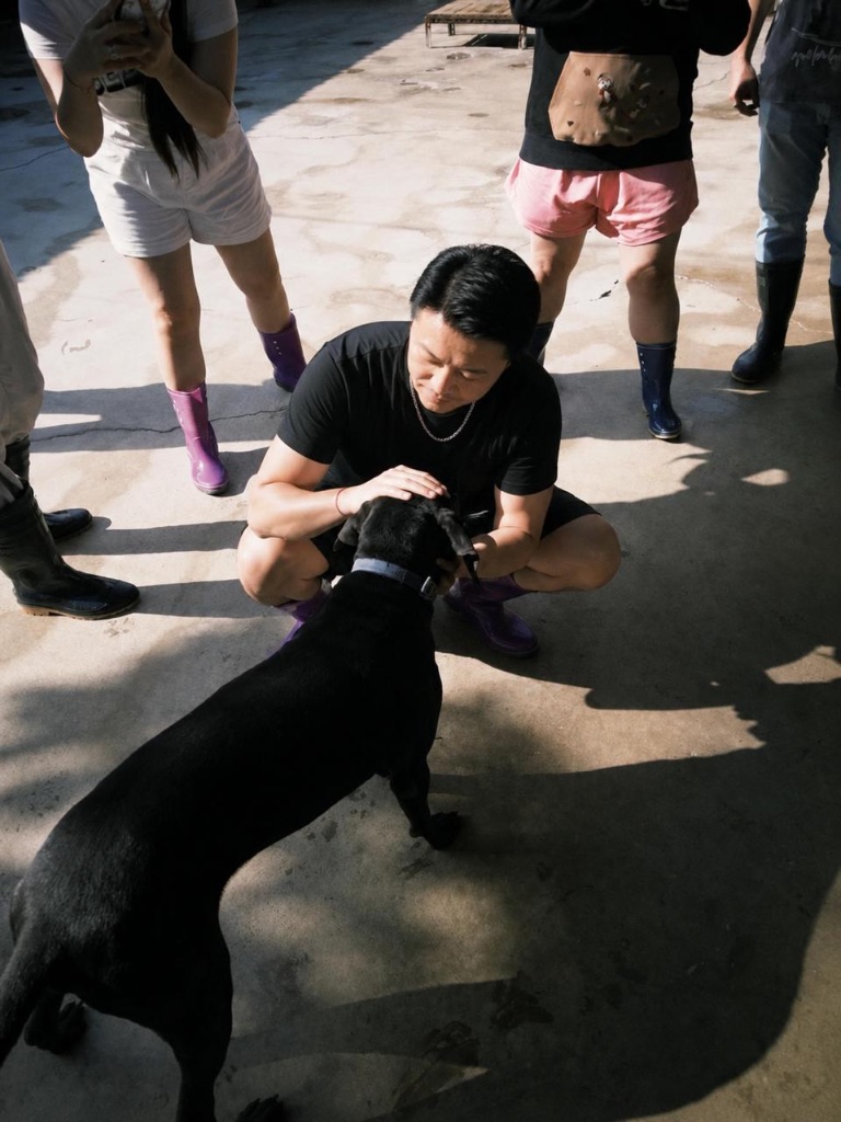 流浪動物關懷暨狗飼料捐贈公益活動