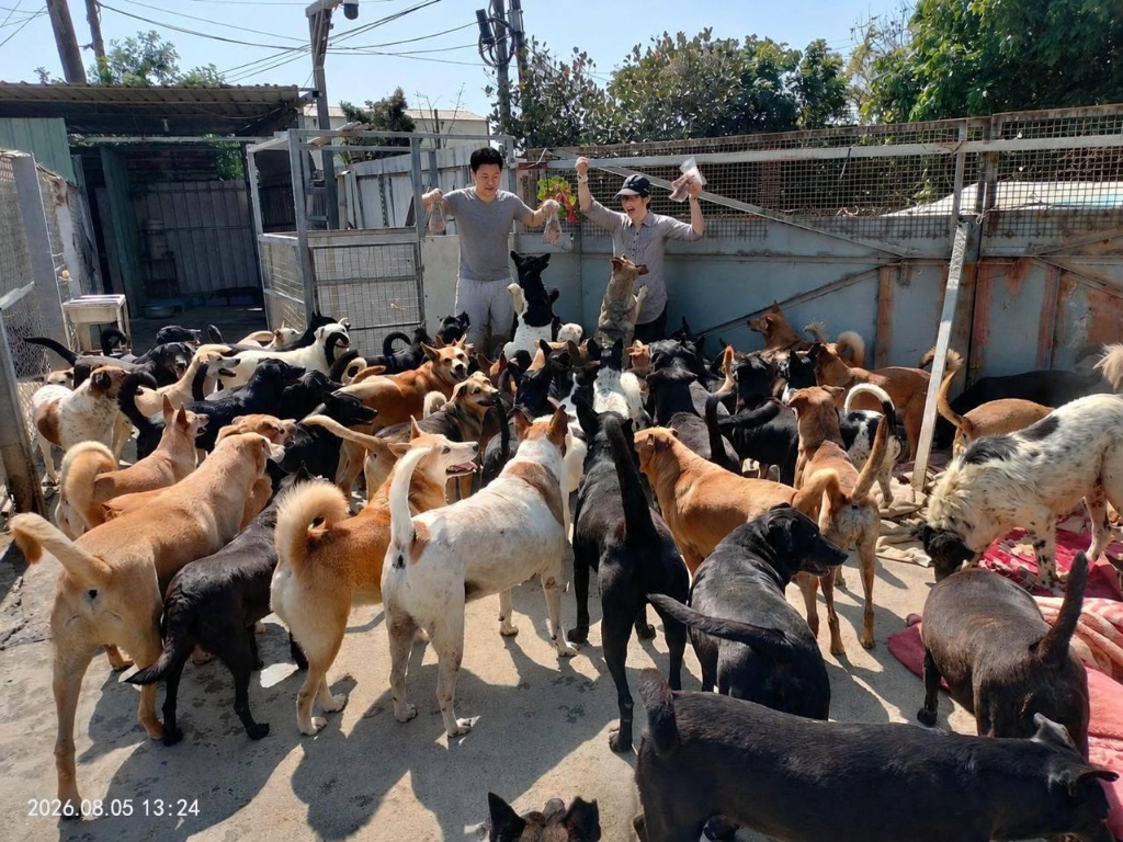 流浪動物關懷暨愛心飼料捐贈公益活動